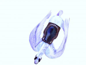 AMAZING WHITE HORSE WHIT WINGS 3D Model