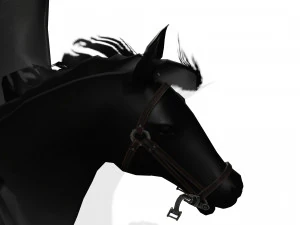 LE SEIGNEUR DES T&Eacute;N&Egrave;BRES CHEVAL PEGASUS CHEVAL MAL PEGASUS Modèle 3D