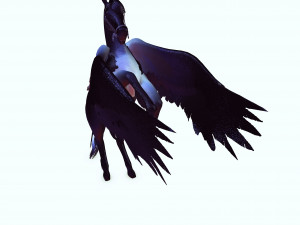 THE LORD OF THE DARKNESS PEGASUS HORSE EVIL HORSE PEGASUS 3D-Modell