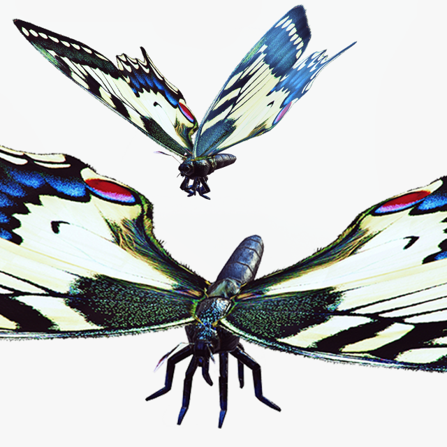 BUTTERFLY ANIMATED 3D 모델 .c4d .max .obj .3ds .fbx .stl .blend 