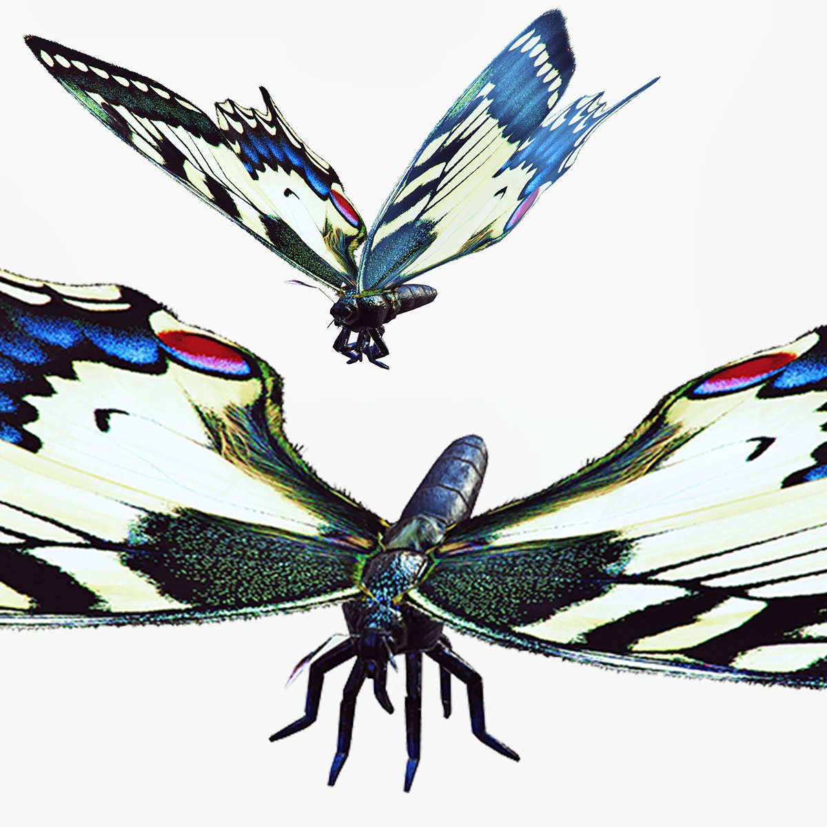 BUTTERFLY ANIMATED 3D Model .c4d .max .obj .3ds .fbx .stl .blend 