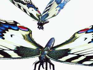 BUTTERFLY ANIMATED 3Dモデル