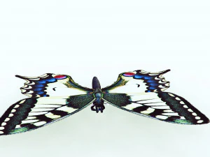BUTTERFLY ANIMATED 3D Model