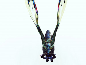 BUTTERFLY ANIMATED 3D 모델