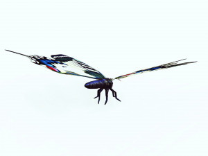 BUTTERFLY ANIMATED 3D 모델
