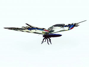 BUTTERFLY ANIMATED 3D 모델