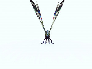 BUTTERFLY ANIMATED 3D 모델