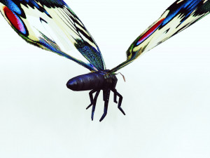 BUTTERFLY ANIMATED 3D 모델