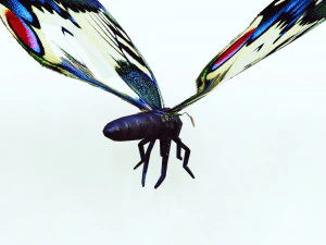 BUTTERFLY ANIMATED 3D Model