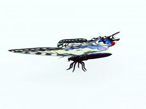 BUTTERFLY ANIMATED 3D 모델