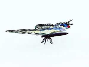 BUTTERFLY ANIMATED 3D Model