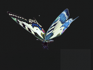 BUTTERFLY ANIMATED 3D 모델