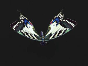 BUTTERFLY ANIMATED 3D Model