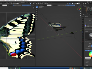 BUTTERFLY ANIMATED 3D 모델