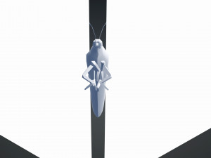 BUTTERFLY ANIMATED 3D 모델