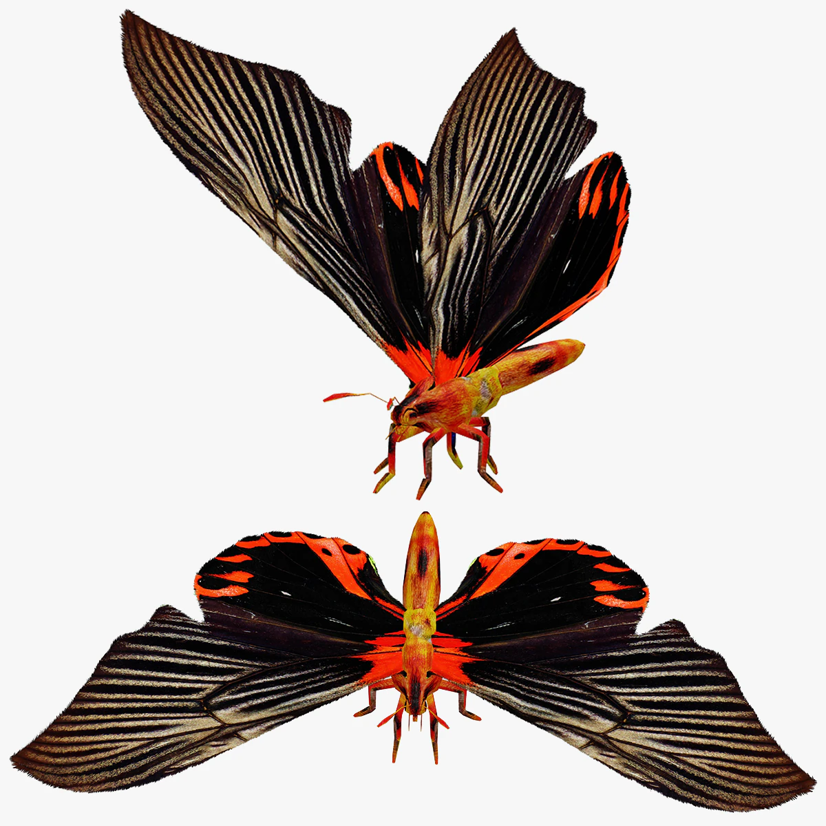 BUTTERFLY ANIMATED 3D MODEL 3D Model .c4d .max .obj .3ds .fbx .stl .blend 
