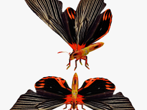 BUTTERFLY ANIMATED 3D MODEL 3Dモデル