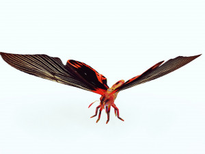 BUTTERFLY ANIMATED 3D MODEL 3D Model