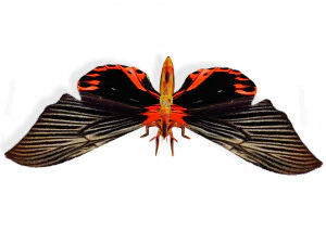 BUTTERFLY ANIMATED 3D MODEL 3D Model