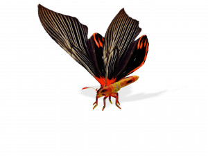 BUTTERFLY ANIMATED 3D MODEL 3D Model