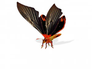 BUTTERFLY ANIMATED 3D MODEL 3D Model