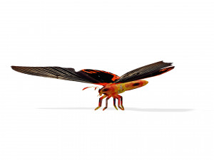 BUTTERFLY ANIMATED 3D MODEL 3D Model