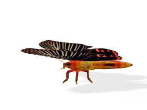 BUTTERFLY ANIMATED 3D MODEL 3D Model