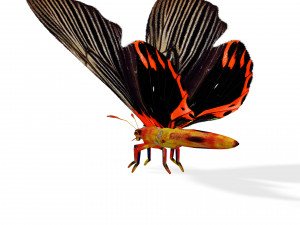 BUTTERFLY ANIMATED 3D MODEL 3D Model