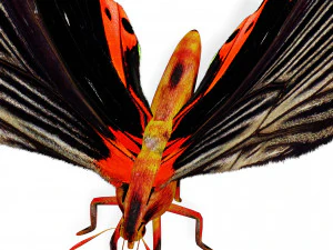BUTTERFLY ANIMATED 3D MODEL 3D Model