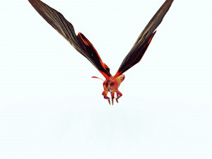 BUTTERFLY ANIMATED 3D MODEL 3D Model