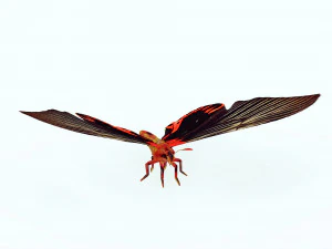 BUTTERFLY ANIMATED 3D MODEL 3D Model