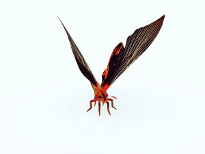 BUTTERFLY ANIMATED 3D MODEL 3D Model