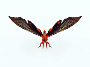BUTTERFLY ANIMATED 3D MODEL 3D Model