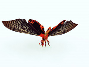 BUTTERFLY ANIMATED 3D MODEL 3D Model