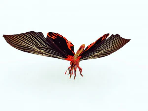 BUTTERFLY ANIMATED 3D MODEL 3D Model