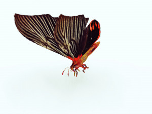 BUTTERFLY ANIMATED 3D MODEL 3D Model