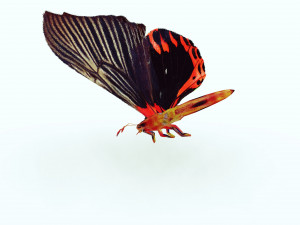 BUTTERFLY ANIMATED 3D MODEL 3D Model