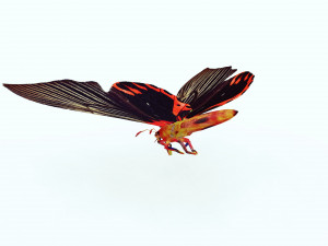 BUTTERFLY ANIMATED 3D MODEL 3D Model