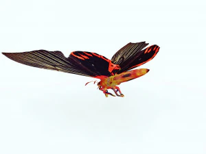 BUTTERFLY ANIMATED 3D MODEL 3D Model