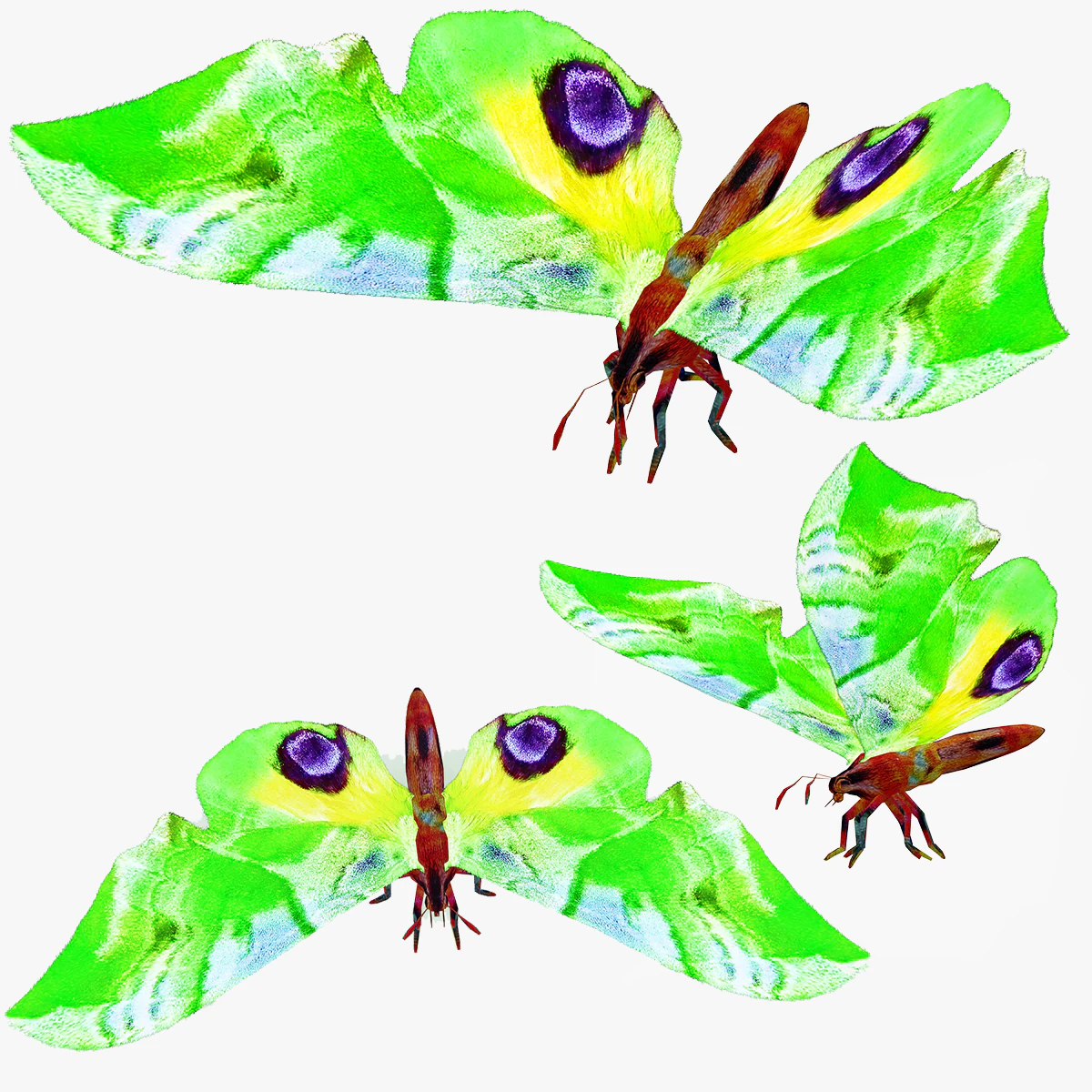 BUTTERFLY 3D MODEL FLYING 3D Model .c4d .max .obj .3ds .fbx .stl .blend 