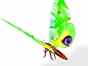 BUTTERFLY 3D MODEL FLYING 3D-Modell