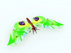 BUTTERFLY 3D MODEL FLYING 3D Model