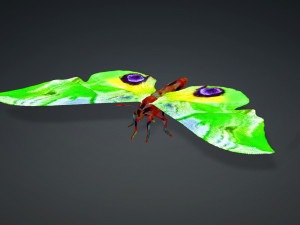 BUTTERFLY 3D MODEL FLYING 3D-Modell