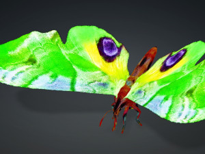 BUTTERFLY 3D MODEL FLYING 3D-Modell