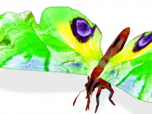 BUTTERFLY 3D MODEL FLYING 3D-Modell
