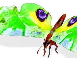 BUTTERFLY 3D MODEL FLYING 3D Model