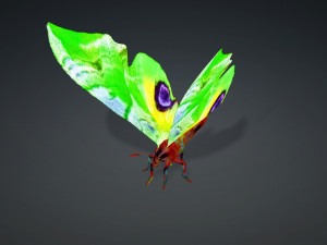 BUTTERFLY 3D MODEL FLYING 3D-Modell