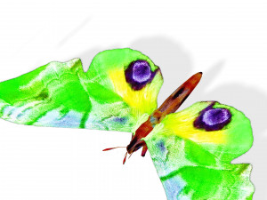 BUTTERFLY 3D MODEL FLYING 3D-Modell