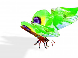 BUTTERFLY 3D MODEL FLYING 3D-Modell