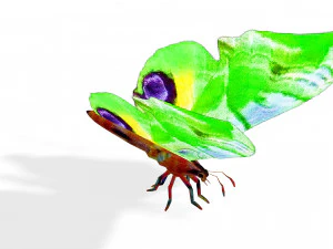 BUTTERFLY 3D MODEL FLYING 3D Model